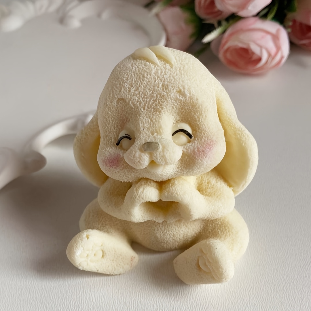 1 Stück entzückende Hasen-Sili – Soap Making Guide Bewertung und Preis
